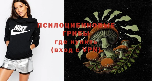 ешки Алзамай